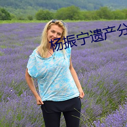 杨振宁遗产分配 （柔远怀来）