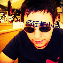 杨(楊)钰莹小(小)说(說)