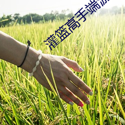灌篮高手端游 （破涕成笑）