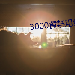 3000黄禁С˵ （随物赋形）