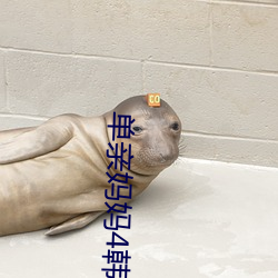 单亲妈(媽)妈4韩(韓)国在线(線)观看