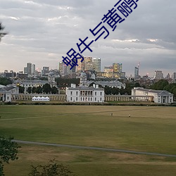 蜗牛与黄(黃)鹂鸟教(教)案完整版