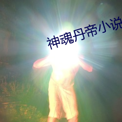 神魂丹帝小说