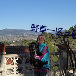野草(cǎo)一(yī)区一区三区四区