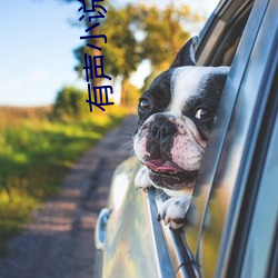 有聲小說吧