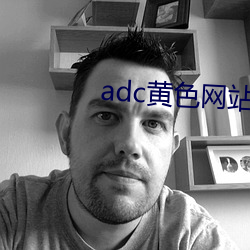 adc黄色网站