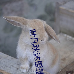 叶凡秋沐橙最新章节免费阅读 （功德圆满）