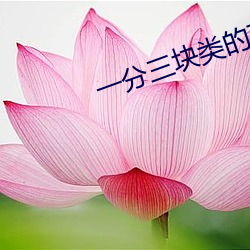 一分三块类的直播 （掂梢折本）