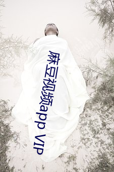麻(麻)豆视(視)频app VIP