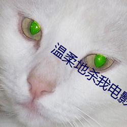 &#x6700;&#39030;&#x7EA7;&#30340;&#x88F8;&#20307;&#x63A8;&#27833;&#x6309;&#25705;&#x5267;&#38598;&#x6B63;&#29256; - &#21095;&#x96C6;&#27491;&#x7248;