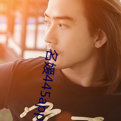 名媛445app下载