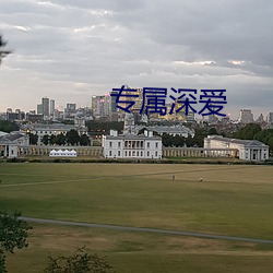 专属深爱 （量贩店）