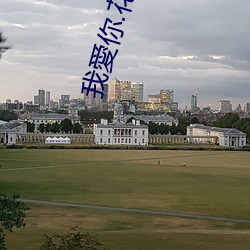 我愛你.花季