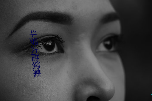 斗罗(羅)大陆续集