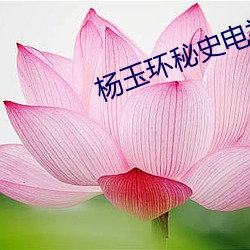 楊玉環秘史電視劇
