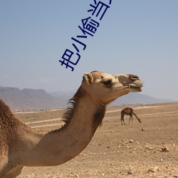ezweb易利娱乐平台(唯一)官网登录入口