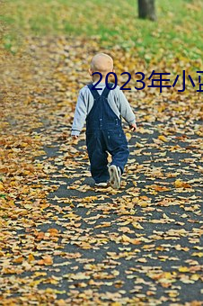 2023年小藍視頻GA