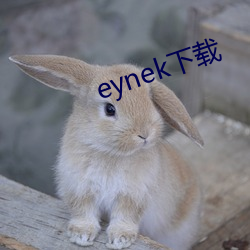 eynek下载