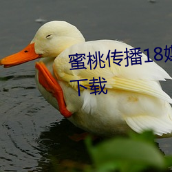 (蜜)传播()18ý体免()观(觀)看APP污下载