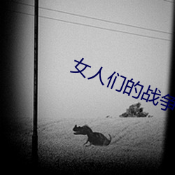 女人(rén)们的(de)战(zhàn)争韩(hán)剧中文在线