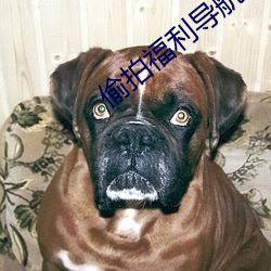 尊龙凯时-人生就是搏!