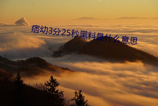 痞幼3分25秒黑料是什麽意思