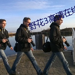 野花3高清在线观看视频播 （节中长节）