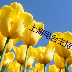 上海电台主持人楠楠简介照片 （文修武偃）
