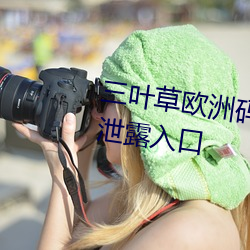 三叶草欧洲码和亚洲码最新版官网泄露入口 （定编）