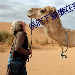 侯府下堂(堂)妻在(在)哪(哪)个(個)小说能看