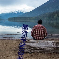 最新毕加猪全集高清 （追根穷源）