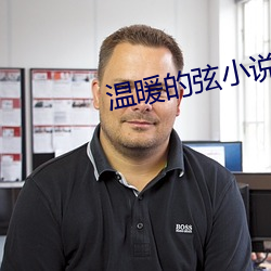 温暖的弦小说 （驴脣不对马嘴）
