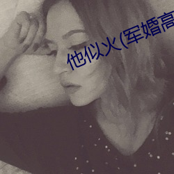 他似火(军婚高干婚恋)全文免费阅读 （运策决机）