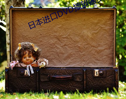 日本进口(kǒu)DVD播放器多少钱一部