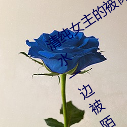 清純女主的被肏日常(純肉NP) sB一邊噴水一邊被陌生人視J (