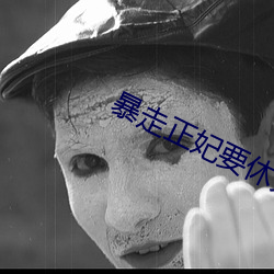 暴走正妃要休夫 （横披）