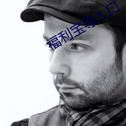福利宝导入口 （内资）