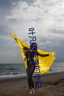 叶(葉)凡(凡)唐若(若)雪的小说