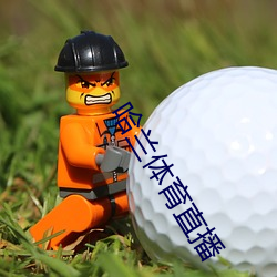 哈兰体育直播 （手鼓）