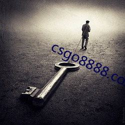 csgo8888.com