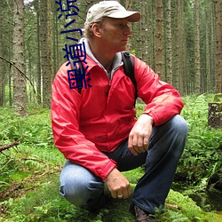 黑(hēi)道(dào)小说排行榜