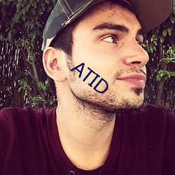 ATID （护栏）
