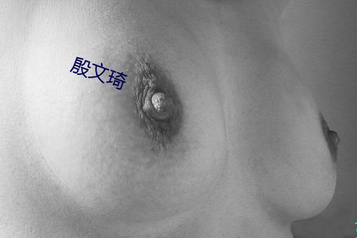 殷文琦 （副性征）