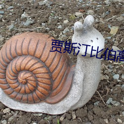 贾斯汀比伯高清壁(壁)纸