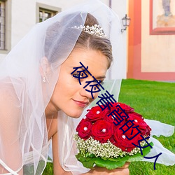 夜夜春宵的(的)女(女)人