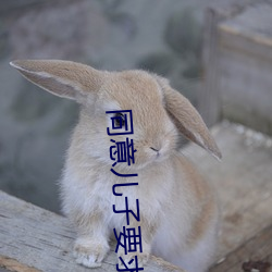 同意儿子要求