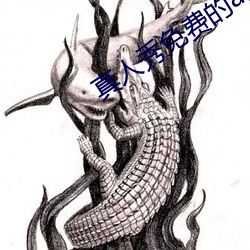 凯时|AG(AsiaGaming)优质运营商