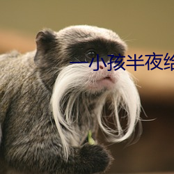 一小孩半夜给女孩吃坤的视
