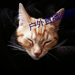 (й) - ٷվ