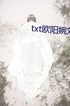 txt欧阳婉刘(liú)闯黄杨番外